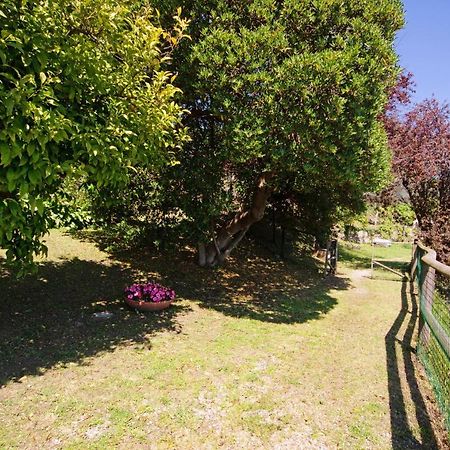 Monolocale Fattorialmare Viola Apartman Camogli Kültér fotó