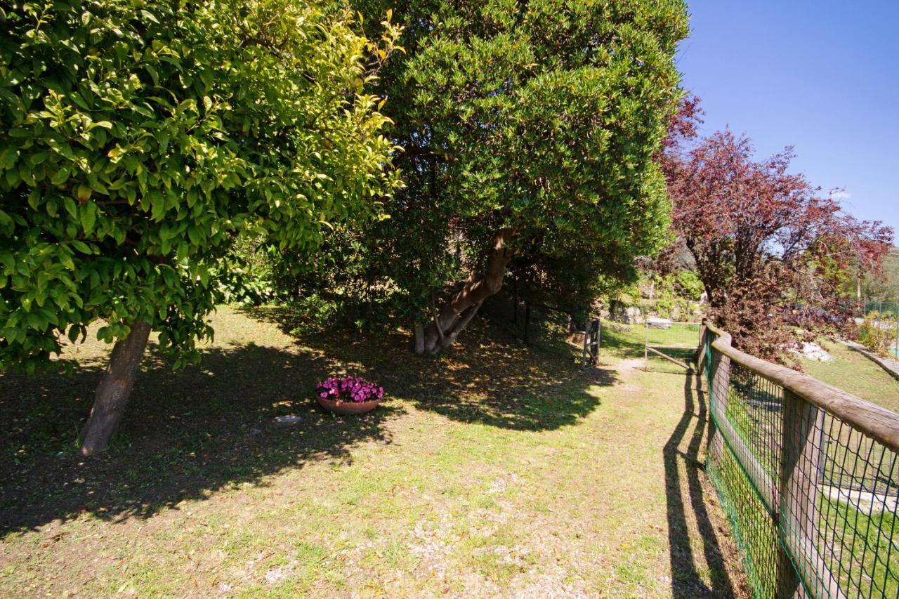 Monolocale Fattorialmare Viola Apartman Camogli Kültér fotó