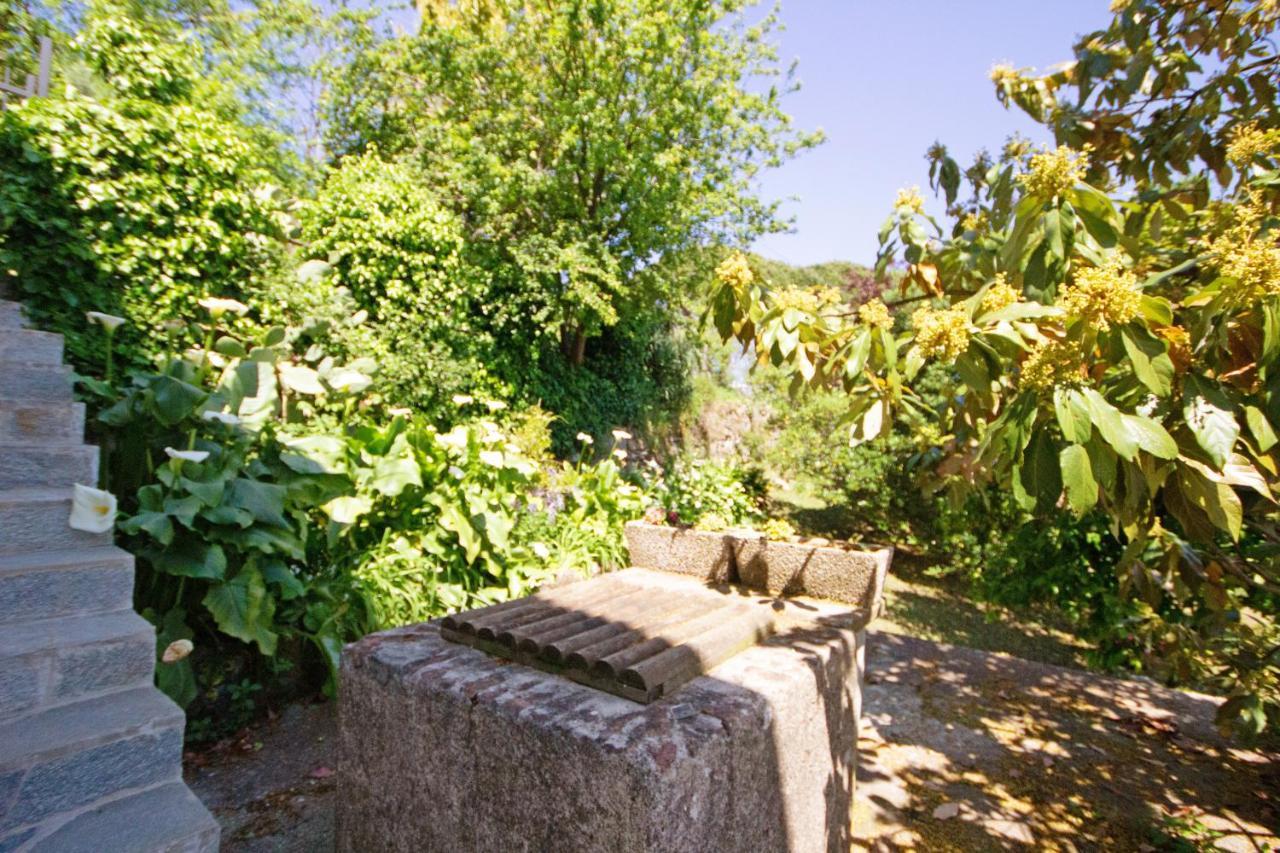 Monolocale Fattorialmare Viola Apartman Camogli Kültér fotó
